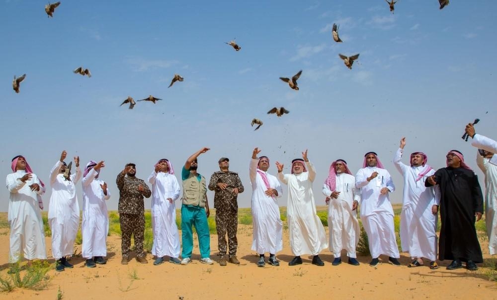 محمية الملك عبدالعزيز